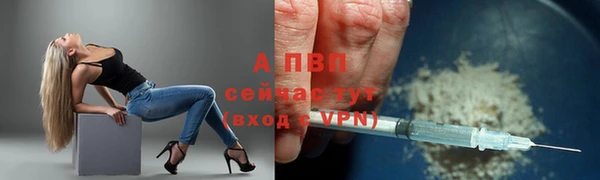 стаф Гусиноозёрск