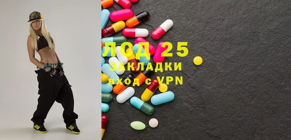 гашик Горняк